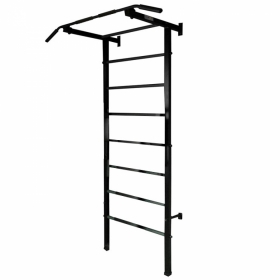 Спортивная шведская стенка ЭКТА PRO Light 3 (СК 3) (черная)
