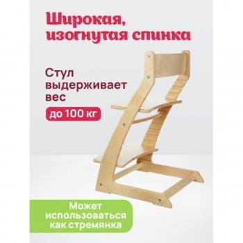 Детский регулируемый стул (растущий стул) ВАСИЛЁК-slim ВН-21Д (не крашенный)