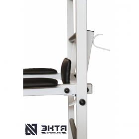 Спортивная шведская стенка с турником ЭКТА PRO Light 2 (СК 2) (бело-черная) с навесным