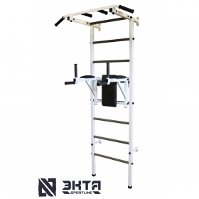 Спортивная шведская стенка с турником ЭКТА PRO 4 (СК 4У)