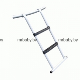 Батут Bebon sport c внутренней сеткой безопасности и лестницей, 8футов (244см)